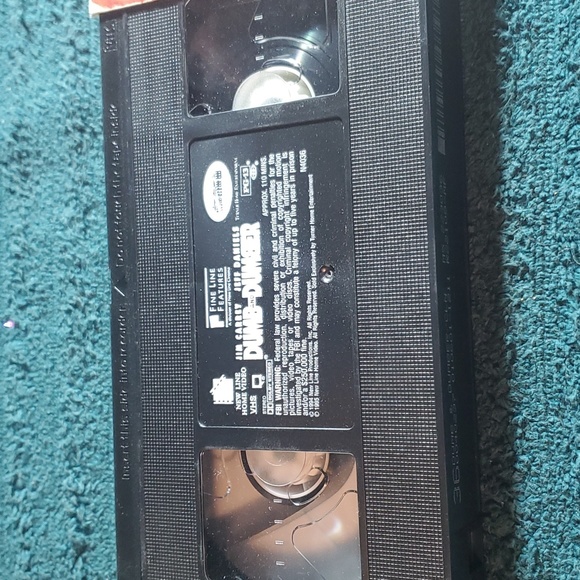 Dumb and Dumber - Picture 4 of 4